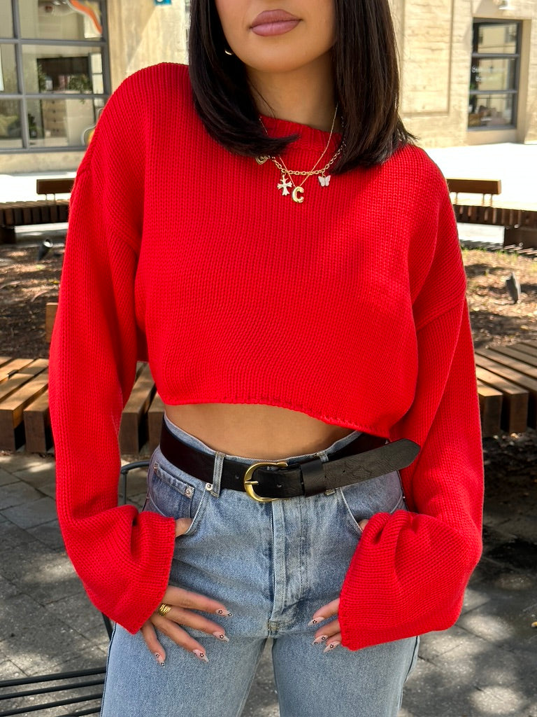 emory knit sweater (CHERRY)