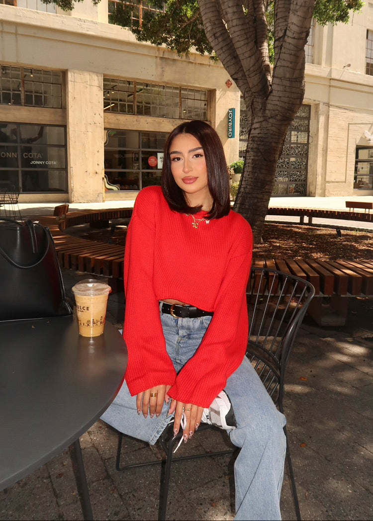 emory knit sweater (CHERRY)