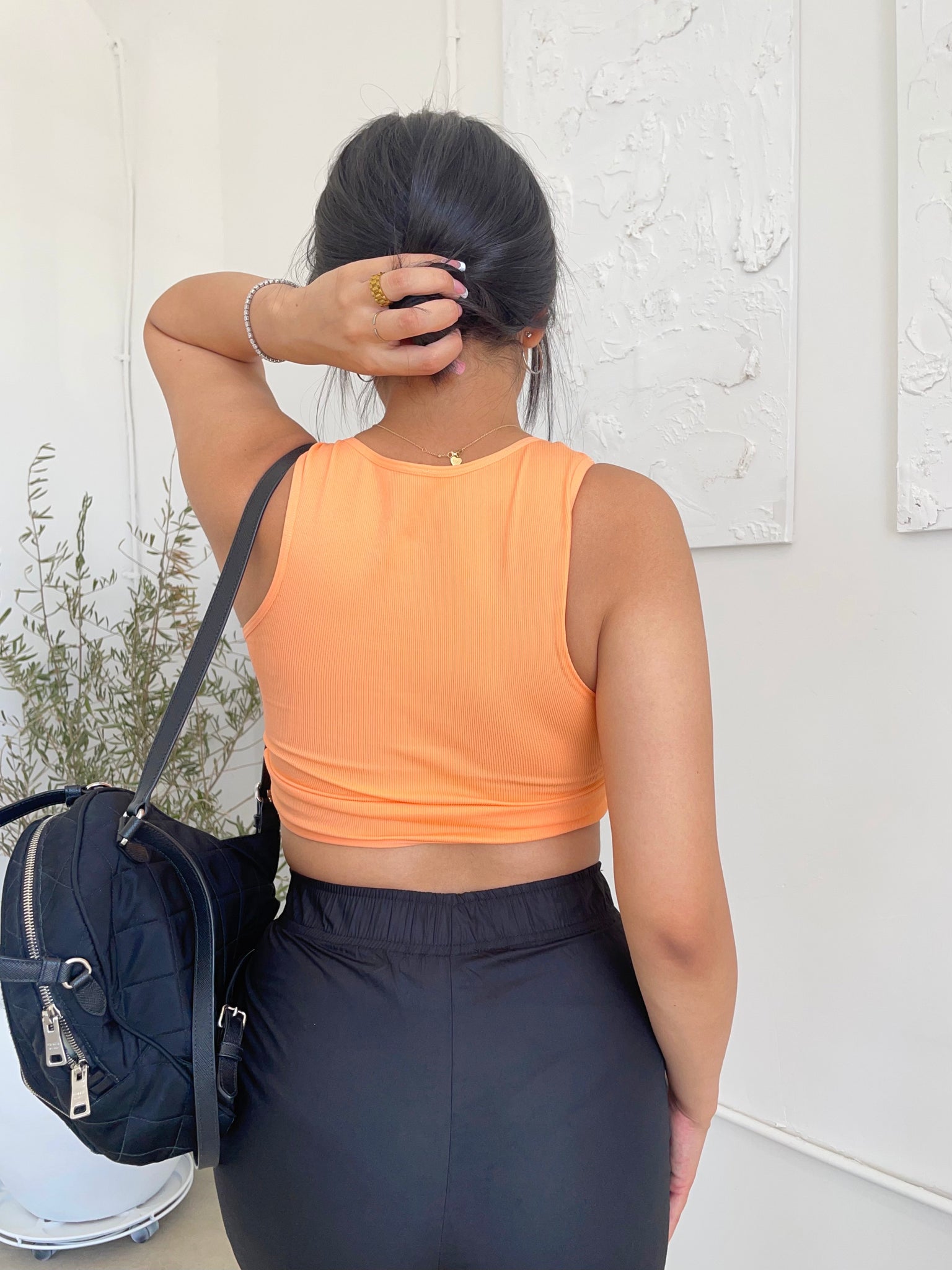 isabelle top (APRICOT)